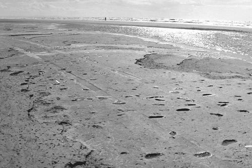 Footprints from Monte Hermoso