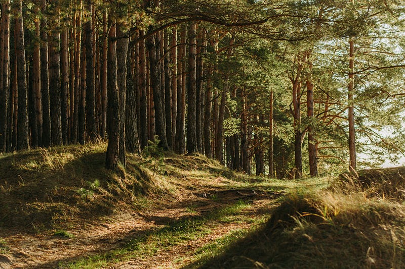 Outdoor relaxation for anxiety relief