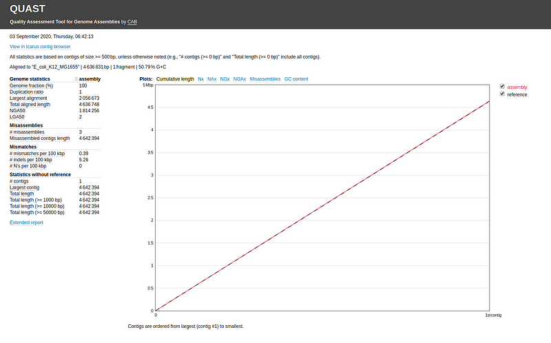 QUAST report for Flye assembly of E. coli dataset