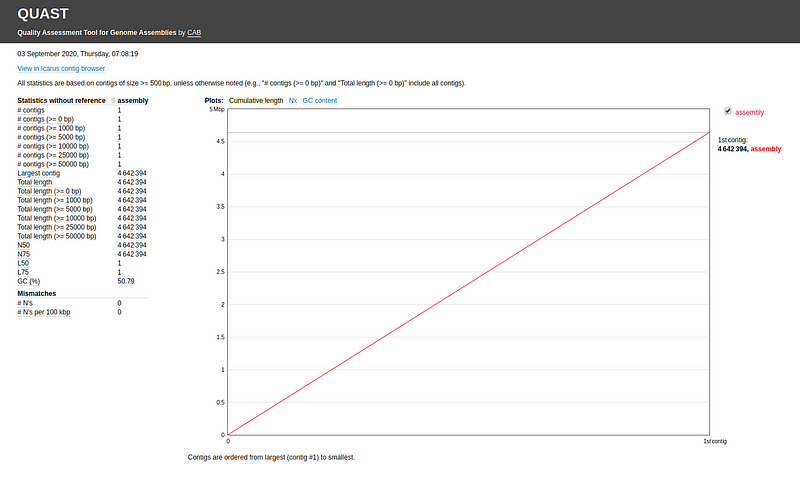 QUAST report for Flye assembly of E. coli dataset without reference