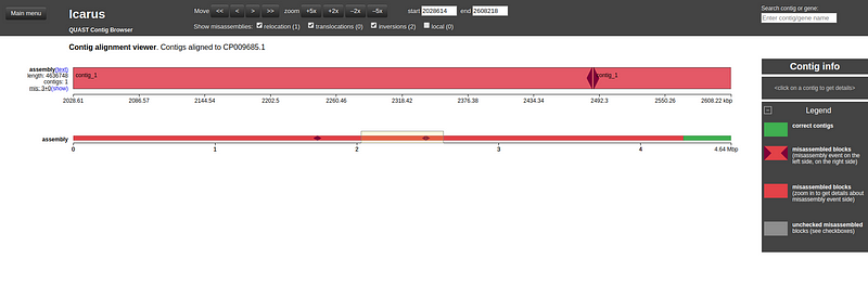 Icarus contig browser