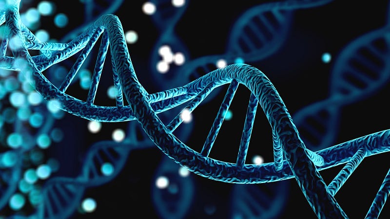 Diagram of DNA structure.