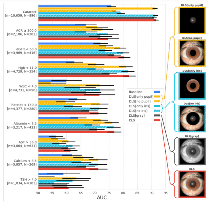 Effects of masking regions or removing color in predictions.