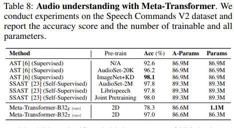 Meta-Transformer Versatility in Audio