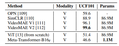 Video Processing with Meta-Transformer