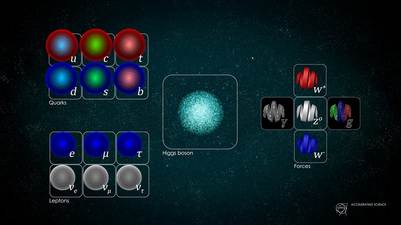 Gauge bosons mediating fundamental forces