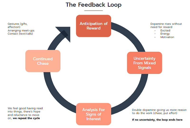 Dopamine feedback loop in relationships