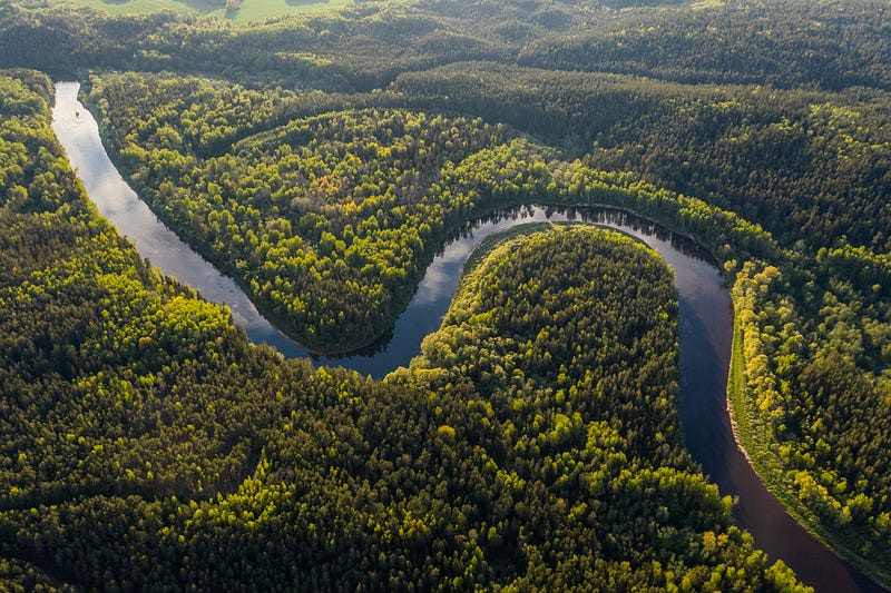 The Amazon River