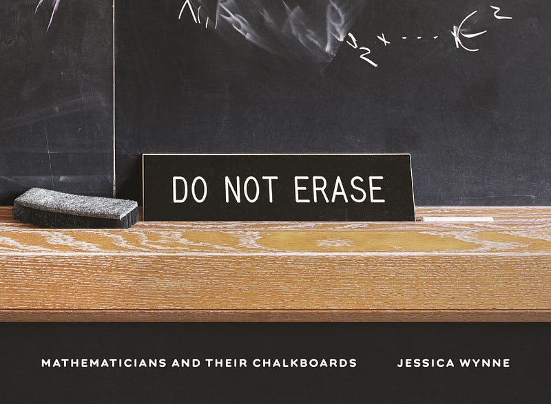 A glimpse into Do Not Erase.